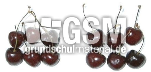 Kirschen6+6.jpg